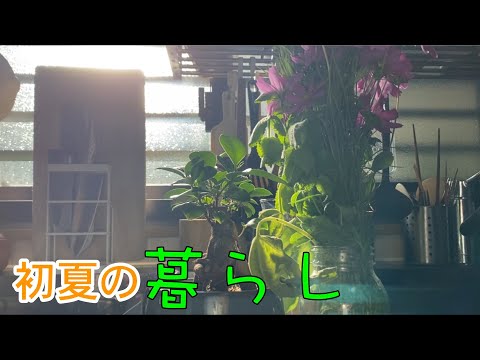 【初夏の自然暮らし】季節の手仕事でやさしく生きる。