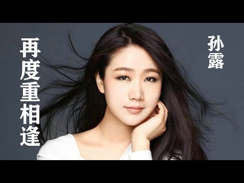 孙露的《再度重相逢》，充满磁性的声线，将这首歌演绎的完美动听