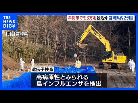 宮崎・串間市で鳥インフルエンザが発生　3万羽の殺処分、県内2例目｜TBS NEWS DIG