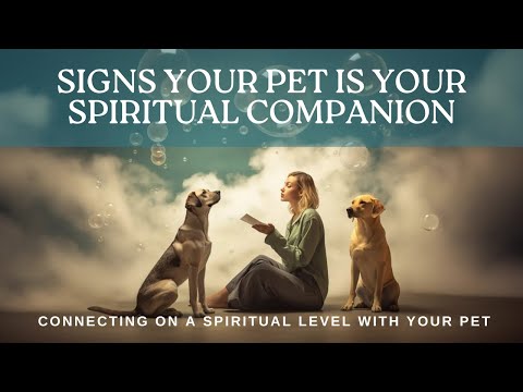 Journey into Pet Souls🐶🐱🐵 Signs You Share a Deeper Connection