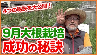 絶対マスターしたい大根を家庭菜園で成功させる方法！９月植えの秋冬野菜を成功させる４つの秘策を徹底解説！【農園ライフ】