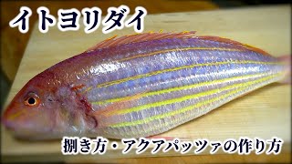 イトヨリダイの【アクアパッツァ】黄色に輝く熱帯魚のような巨大魚を捌いてアクアパッツァに