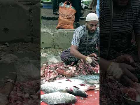 Extremely Clean Boal Fish Cutting Skills Live In Fish Market Dhaka