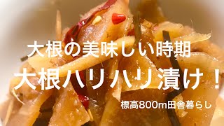 [漬物、作り置き]今が旬の大根でハリハリ漬け！　　標高800m田舎暮らしVlog