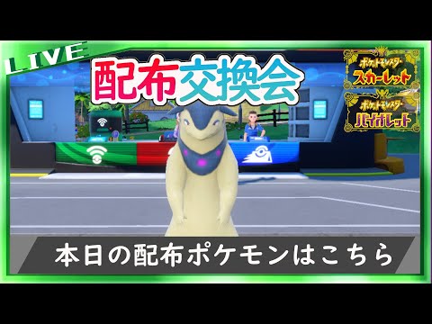 ウルボ入り色違いヒスイバクフーン配布交換会【ポケットモンスター スカーレット・バイオレット】