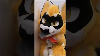 BEST Furry TikToks compilation 0241 #shorts #furrytiktok #furry #furrycompilation