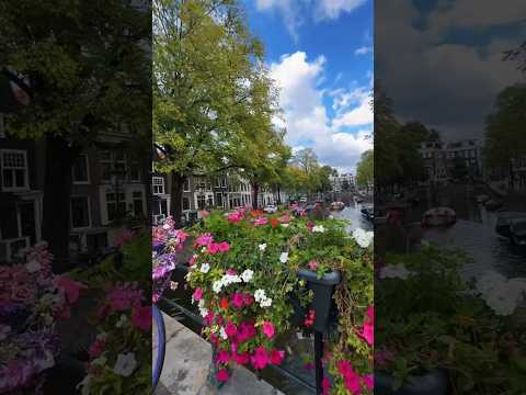 Change of season in Amsterdam with #amsterdam #dutch#placestovisit  #lifestyle #fyp#shorts #reels