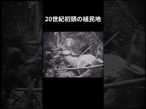 【歴史】20世紀初頭 植民地映像