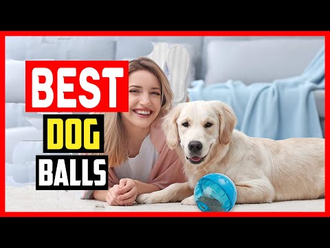 ✅Best dog balls in 2023