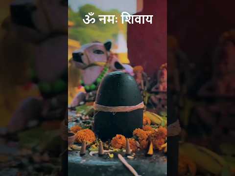 Om Namah Shivay ॐ नमः शिवाय #omnamhshivay #shiv #harharmahadev