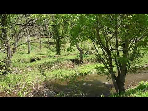 旧徳山村の廃村・狂小屋