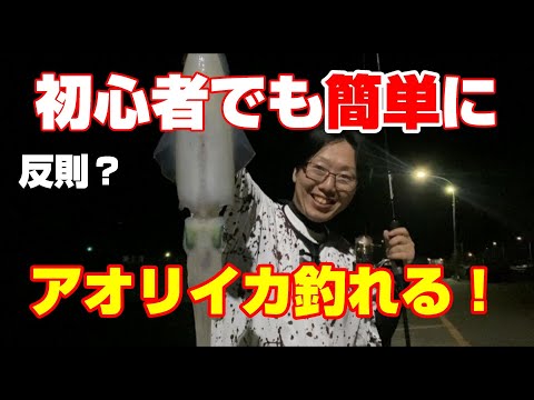 エギング初心者はコレ使っとけば間違いない！【66釣目】