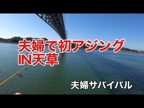 天草で初アジングしました〜フリードで車中泊も！