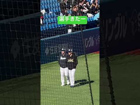 選手きたー！ヤクルトスワローズファン感謝デー2024