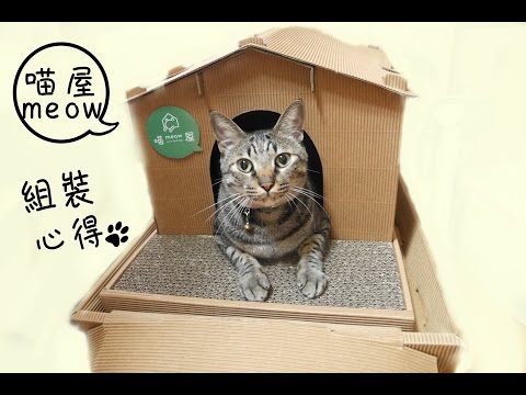 Meow House喵屋 跟我一起組裝吧│Hi I'm Verna