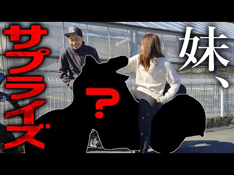 妹が知らん間にバイク乗り換えてた。。