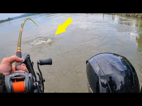 The BIGGEST CATFISH in the Country LIVE HERE!! (3 Day Camping Trip)