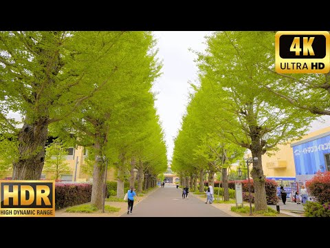 [Tokyo Edition] A walk starting from Akishima Station: 4K HDR Japan