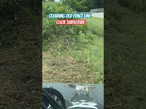 Brush Cutting  old Fence Line #shorts #bobcat