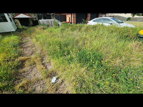 HIDDEN Driveway Was So OVERGROWN & NEGLECTED Every Lawn Contractor REFUSED To Do The JOB!