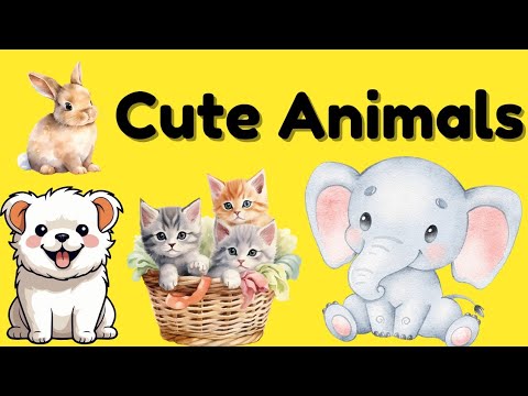 Cute baby animals#cutebabyanimals #animals babies #cuteanimals #animals #cutebabies #animalbaby