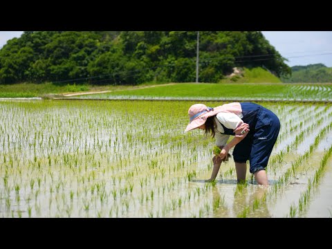 島のソウルフード～農家のまかないメシ淡路島牛丼～15秒ver