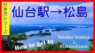 【行き方シリーズ】仙台駅から日本三景松島まで2パターン　How to get to Matsushima（ 2 patterns）