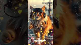 Viral cat video 😻🌹//#nature #viral #youtube #cat #viralmoment #viralvideos #love