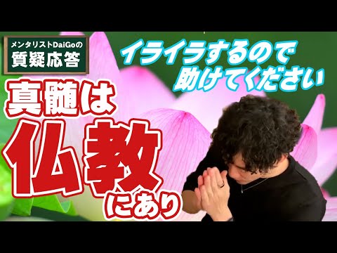 【仏教に学ぶ】マウントしてくる人にイライラする処方箋【メンタリストDaiGo】