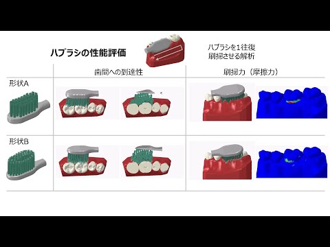 花王  歯ブラシの構造力学シミュレーション Structural mechanics simulation of toothbrushe