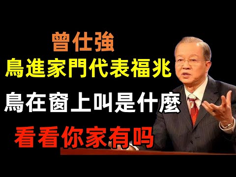 鳥進家門代表福兆？鳥在窗上叫代表什麼呢？蜻蜓鴿子飛進家可以驅趕嗎？#曾仕強#民間俗語#中國文化#國學#國學智慧#佛學知識#人生感悟#人生哲理#佛教故事