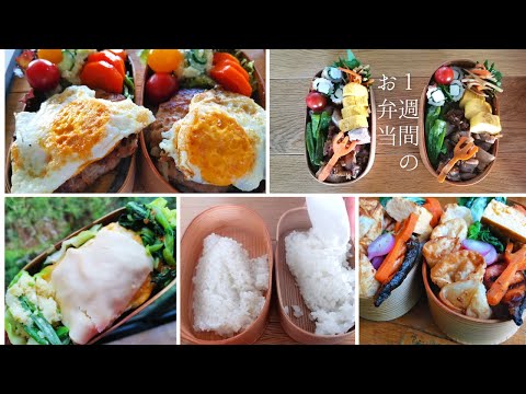 How I packed daily Bento boxes for 9-year-old-boy and me(single mom) #11 | １週間のお弁当 | 詰め方動画