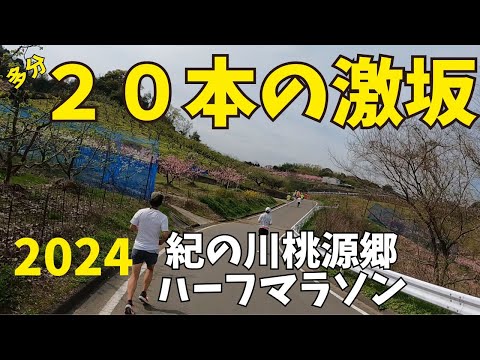 【激坂】2024年紀の川桃源郷ハーフマラソン