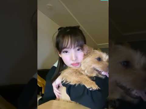 210130 Nayeon & Boo & Dobby @V