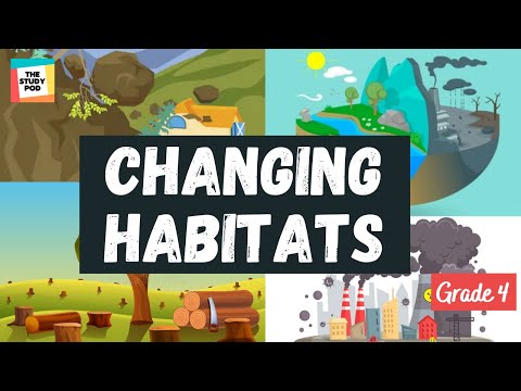 CHANGING HABITATS & ITS EFFECTS | SCIENCE | GRADE 4| The Study Pod