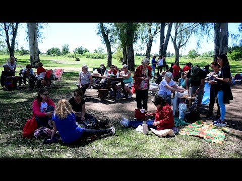 Los adultos mayores cerraron el año con una gran jornada en el Parque Borchex