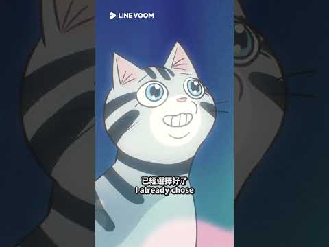 EP11 死亡的選擇 床邊故事 短影音動畫 完整版 #創意加速金 #cat #shorts #shortstw