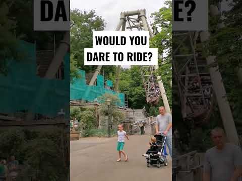 Are you brave? #shorts #shortsfeed #shortvideo #efteling #netherlands