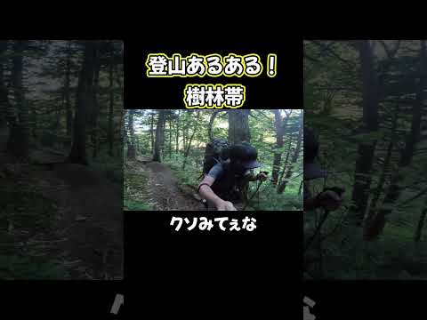 登山あるある！樹林帯