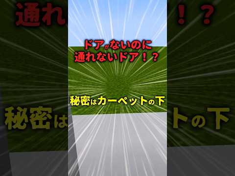 【マイクラ】ドアがないのに通れない空間！？#マインクラフト #マイクラ #ドア