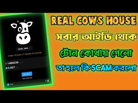 Real Cow House Withdrawal? Gas Fees | Real Cow House Real Or Fake? | Real Cow House Listing Date?