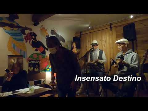 （サンバの名曲）　Insensato Destino／Live@ Casa de Bamba