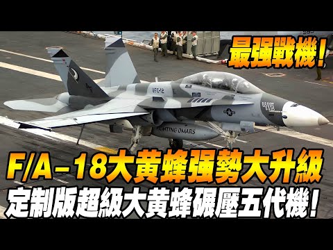 [Taiwan and the United States sign a contract to jointly build the strongest fighter!] F/A-18 Bumbl