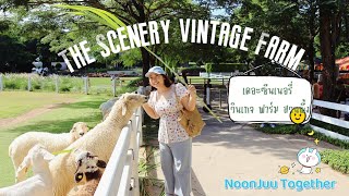 เที่ยวฟาร์มแกะ The Scenery vintage Farm สวนผึ้ง ราชบุรี