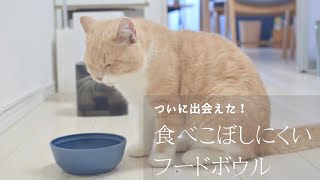 食べこぼし癖のある猫にぴったりのフードボウルに出会いました【買ってよかった】