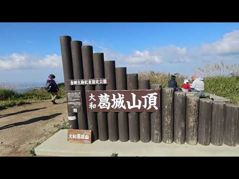 【山の旅 大和葛城山】　ススキ　景色雄大