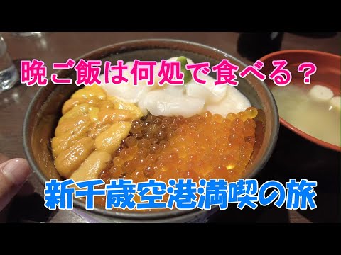 新千歳空港を満喫②　夜ご飯は何食べる【2023年3月21日】