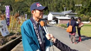 さぬき特産物の自然薯の初掘り