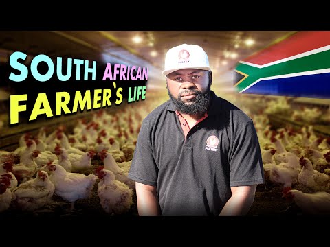 Essential Poultry Equipment Every Farmer Needs for Successful Poultry Farm in Africa