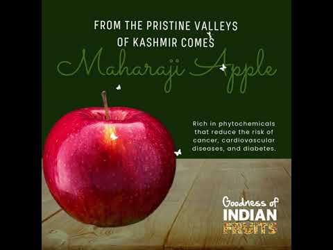 Kashmir Maharaji Apples